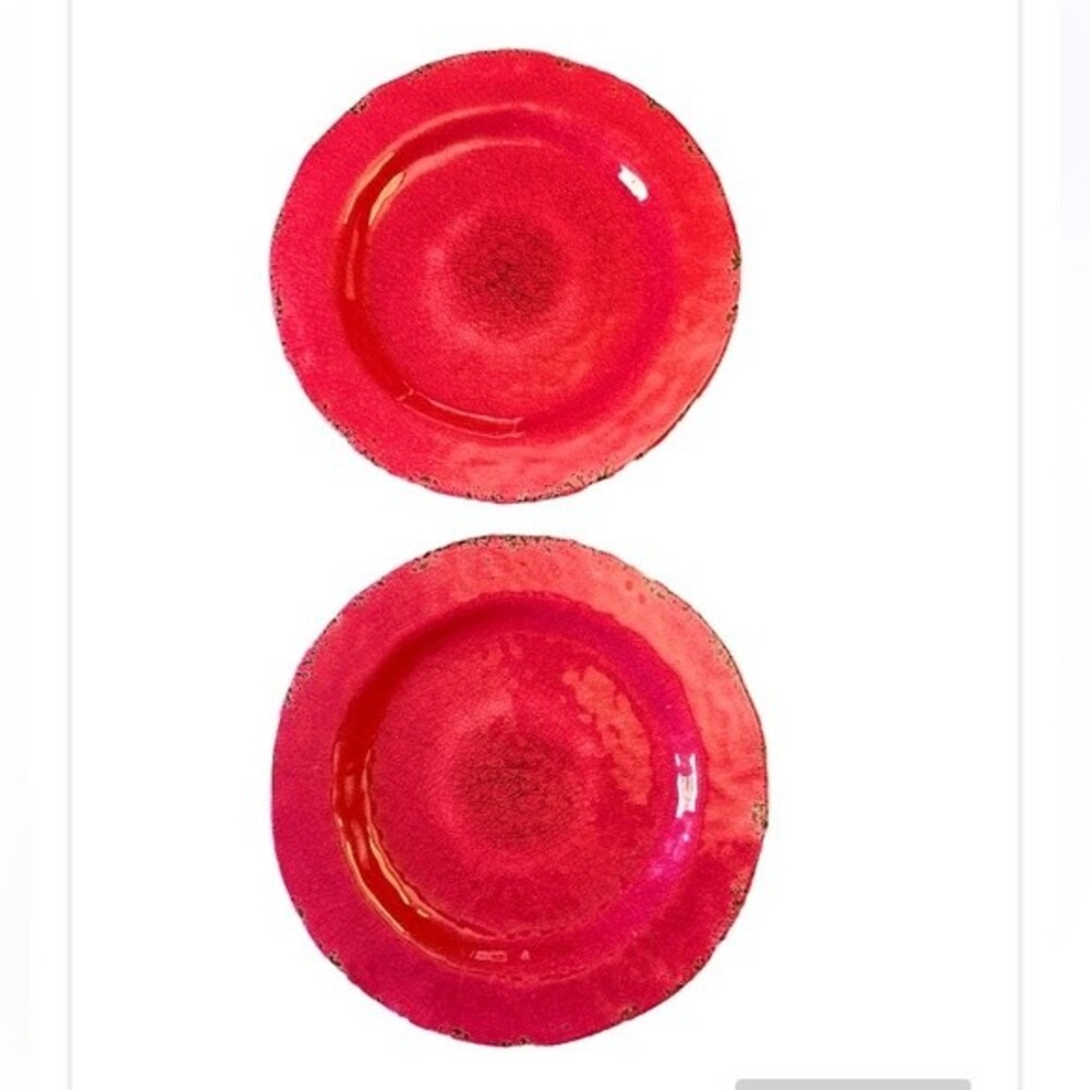Pier 1 Imports Set of 2 Carmelo Melamine Dinner Plates in Flamingo Pink